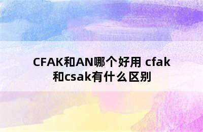 CFAK和AN哪个好用 cfak和csak有什么区别